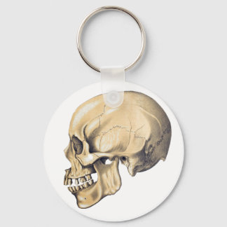 Porte-clés Illustration de l'anatomie crânienne vintage