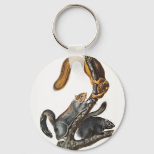 Porte-clés Illustration de l'écureuil de chat (Sciurus cinere