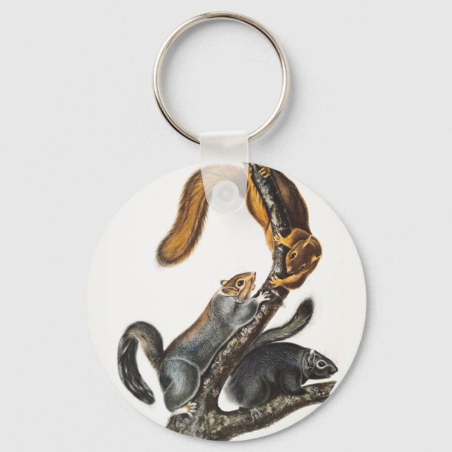 Porte-clés Illustration de l'écureuil de chat (Sciurus cinere (Recto)