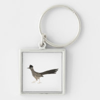 Illustration de l'oiseau cool Roadrunner