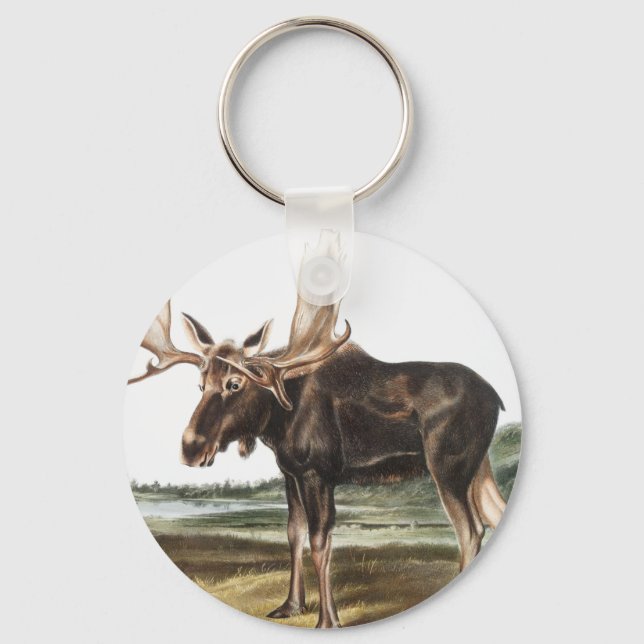 Porte-clés Illustration de Moose Deer (Servus alces) (Recto)