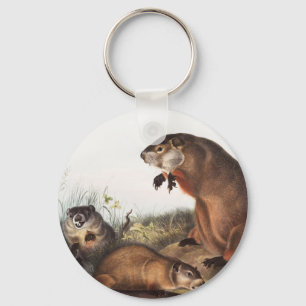 Porte-clés Illustration de Woodchuck (Arctomys monax)