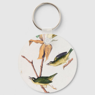 Porte-clés Illustration des oiseaux de Paruline capturant des