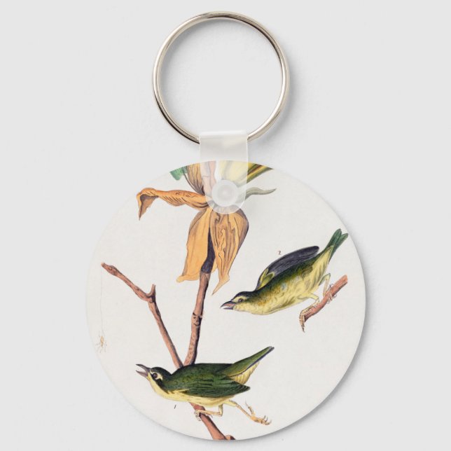 Porte-clés Illustration des oiseaux de Paruline capturant des (Recto)