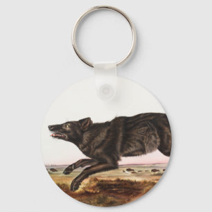 Porte-clés Illustration du loup noir américain (Canis lupus)