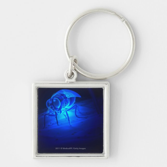 Porte-clés Illustration luminescente d'une mouche de tsetse (Devant)