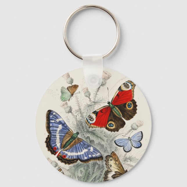 Porte-clés Illustration Scientifique Botanique de Papillon de (Recto)