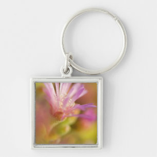 Porte-clés Image diffusée d'une fleur succulente colorée