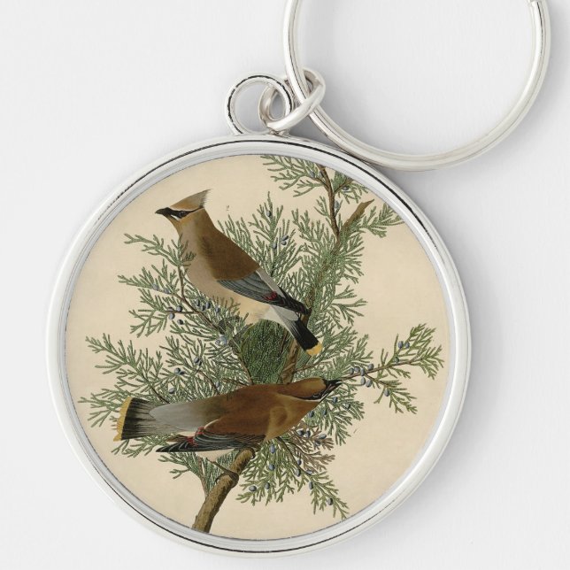 Porte-clés Impression d'oiseau de John James Audubon Jaseur b (Devant)