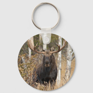 Porte-clés Impressive Bull Moose