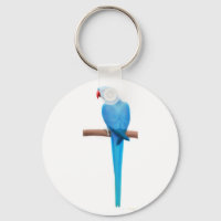 Indian Ringneck Parakeet Porte - clé
