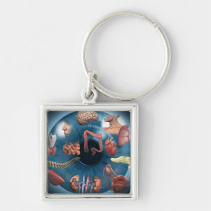 Porte-clés Iridology