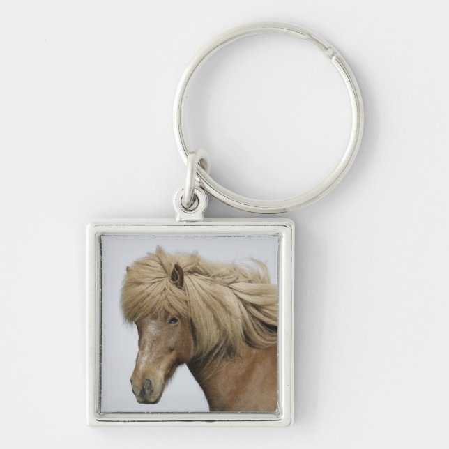 Porte-clés Islande. Portrait d'un cheval islandais. (Devant)