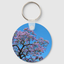 Jacaranda