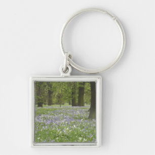 Porte-clés Jacinthes et chênes au printemps, Little Hagley