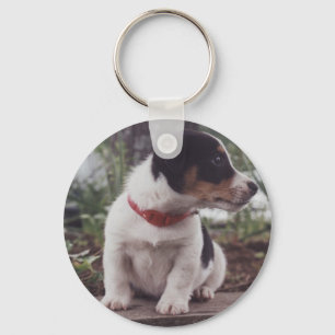 Porte-clés Jack Russell puppy