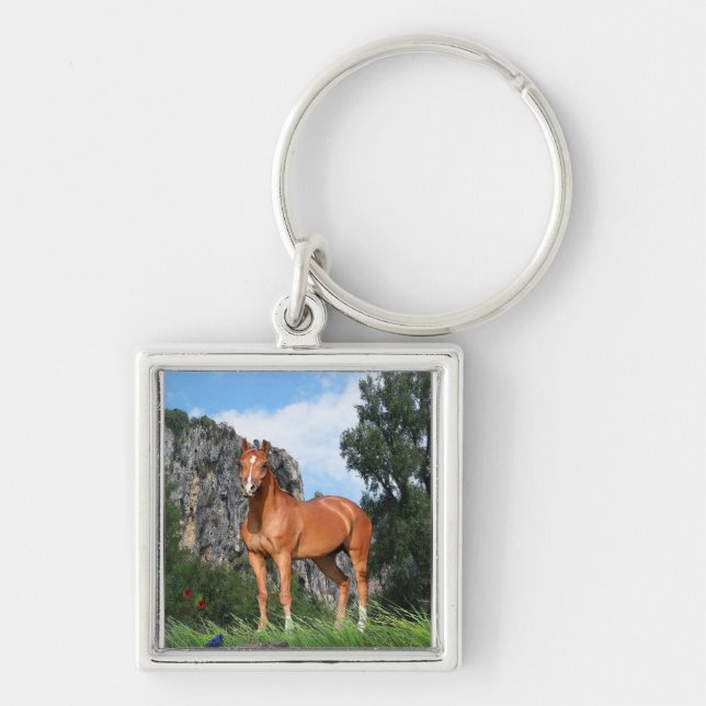 Porte-clés J'adore les chevaux (Devant)