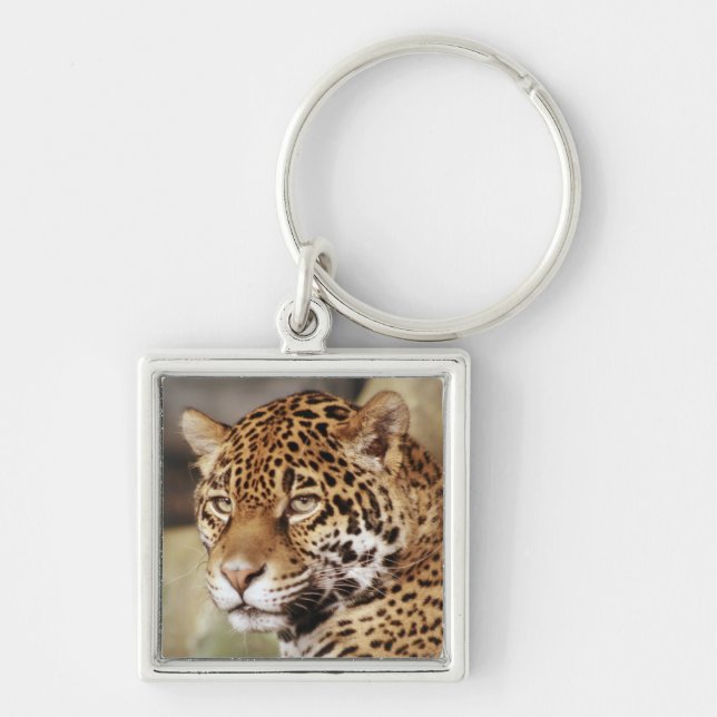 Porte-clés Jaguar Keychain (Devant)