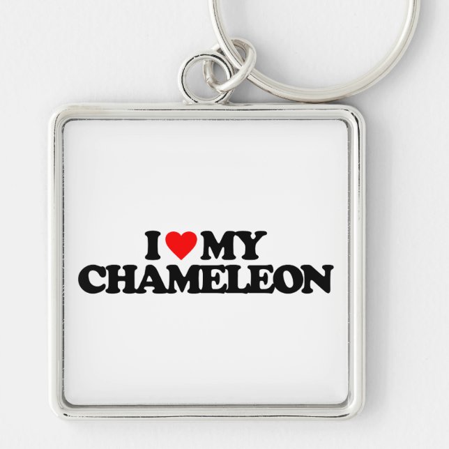 PORTE-CLÉS J'AIME MON CAMÉLÉON (Devant)