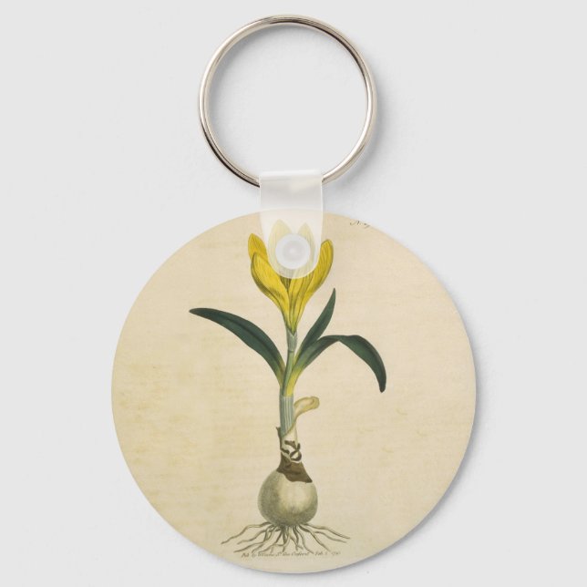 Porte-clés Jardin botanique de tulipe Amaryllis Fleur (Recto)