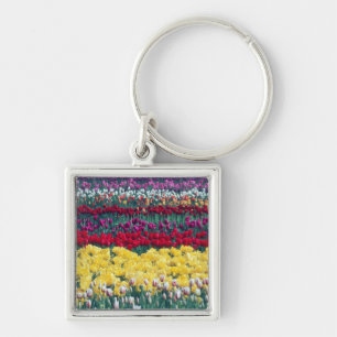 Porte-clés Jardin de tulipes dans le comté de Skagit,