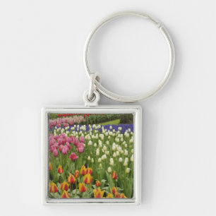 Porte-clés Jardin de tulipes et de jacinthes, jardins de Keuk