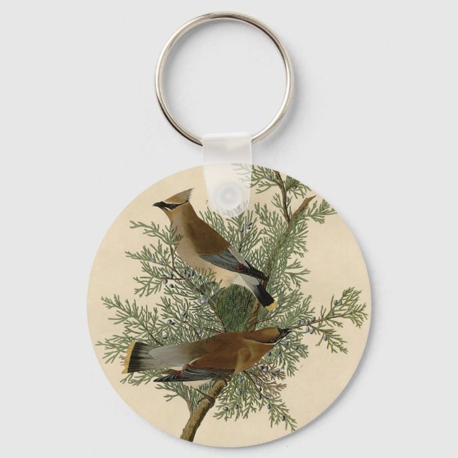 Porte-clés Jaseur cèdre d'Audubon (Recto)