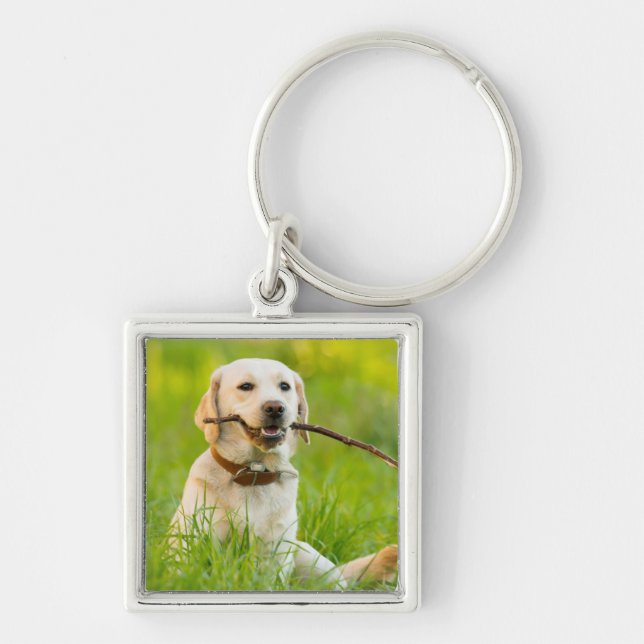 Porte-clés Jaune Labrador Joue Récupérer Avec Bâton (Devant)