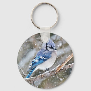 Porte-clés Jay bleu dans une tempête de neige