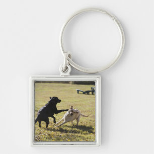 Porte-clés Jeu de chiens