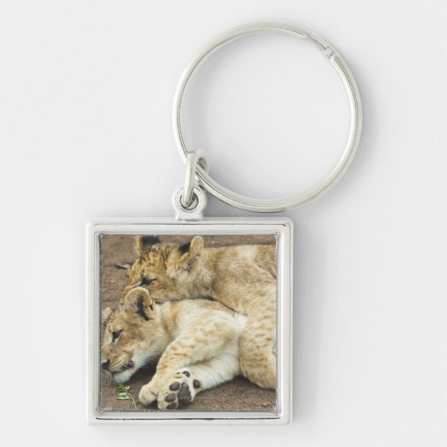Porte-clés Jeu de deux petits animaux de lions (Devant)