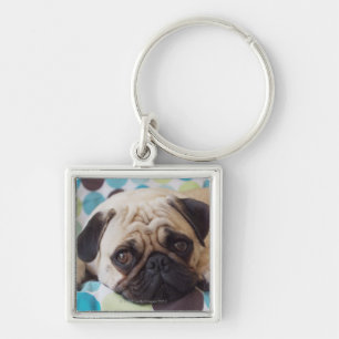 Porte-clés jeune animal familier curieux
