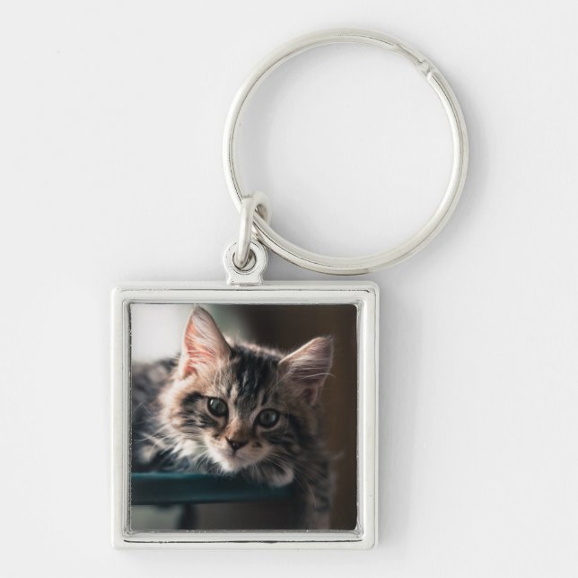 Porte-clés Jeune chat tigré masculin 2 (Devant)