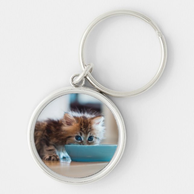 Porte-clés Jeune chaton persan (Devant)