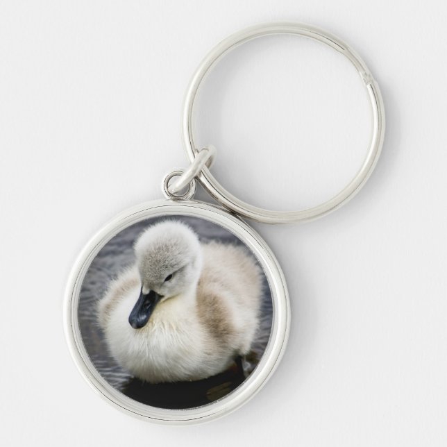Porte-clés Jeune cygne du cygne | de bébé (Devant)