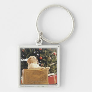 Porte-clés Jeune Labrador se penchant un cadeau de Noël