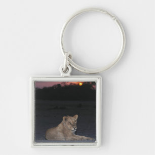 Porte-clés Jeune lion au lever de soleil