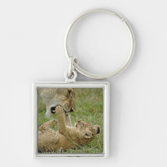 Porte-clés Jeune lion jouant (Devant)