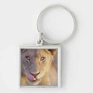 Porte-clés Jeune lion masculin