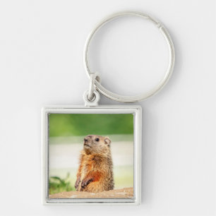 Porte-clés Jeune marmotte
