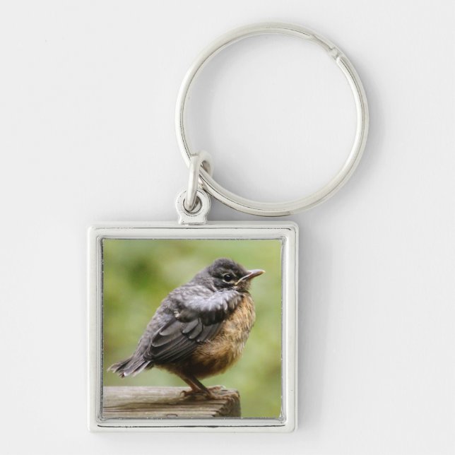 Porte-clés Jeune Robin (Devant)