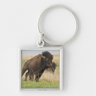 Porte-clés Jeune taureau de bison fougueux à la Tallgrass
