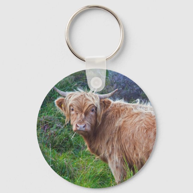 Porte-clés jeune vache des Highlands (Recto)