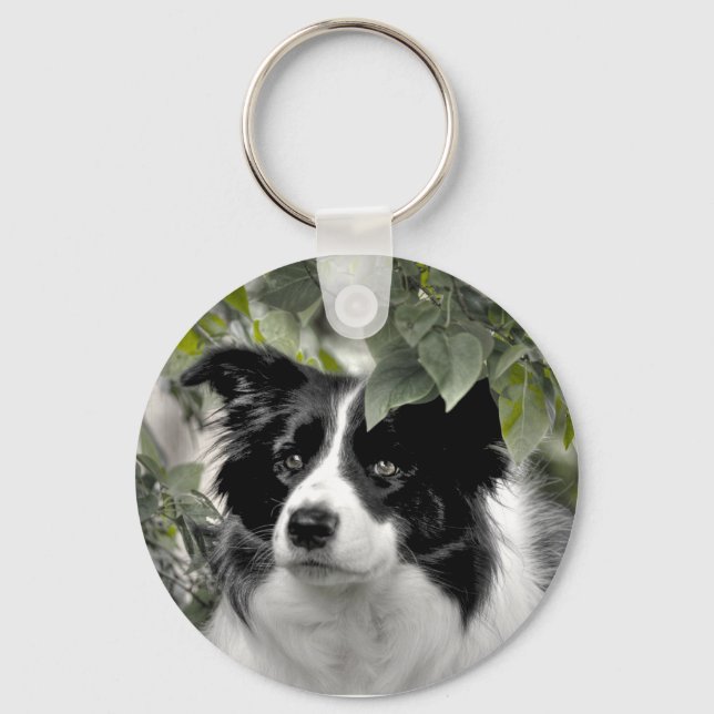 Porte-clés Joli chien Colley (Recto)