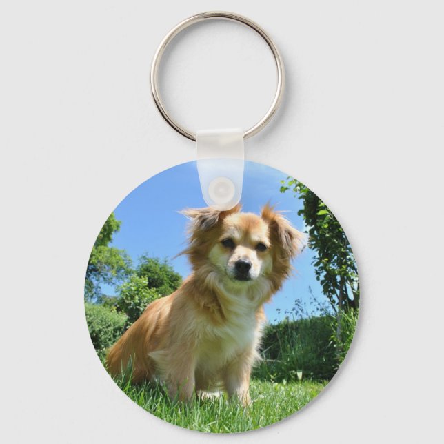 Porte-clés Joli chiot dans une photo de jardin (Recto)