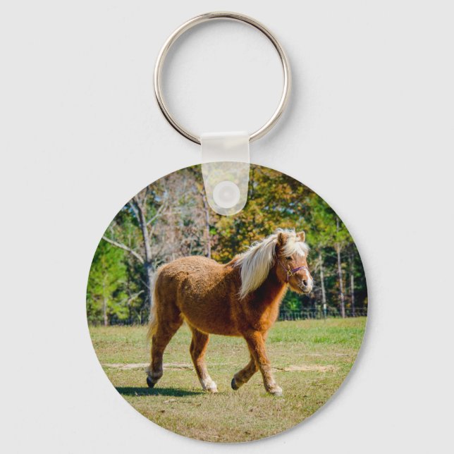 Porte-clés Joli Shetland Pony (Recto)