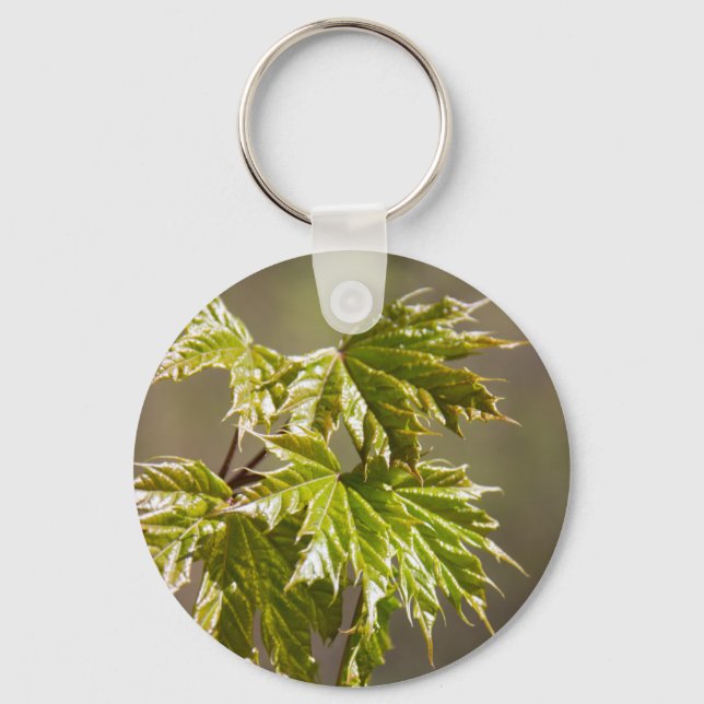 Porte-clés Jolie branche d'érable vert avec petit porte - clé (Recto)