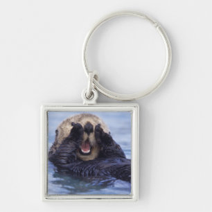 Porte-clés Jolie loutre de mer   Alaska, États-Unis