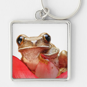 Porte-clés Jolie petite grenouille marbrée brune sur fleur ro