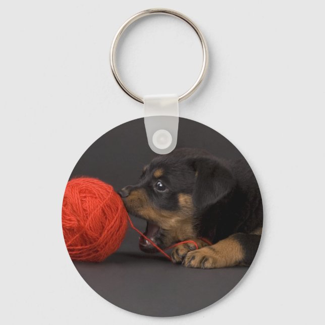 Porte-clés Jouer Puppy 4 (Recto)